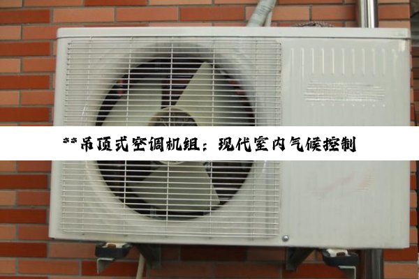 【科普解答】**吊顶式空调机组：现代室内气候控制的精妙艺术与个性化解决方案**